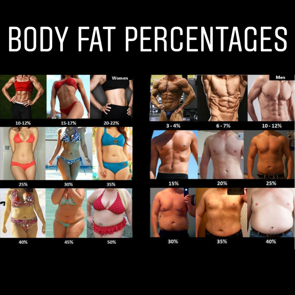 Body fat percentages